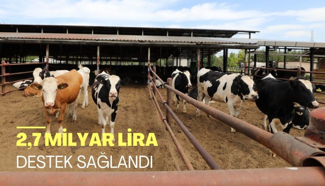 Halk Elinde Islah Projeleri ile 33 yerli küçükbaş ırkı koruma altına alındı