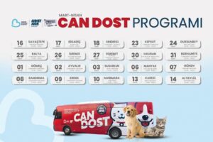 Balıkesir’de Can Dost Mobil Aracı, Mart ve Nisan Aylarında 20 İlçede Sokak Hayvanlarına Destek Sunuyor