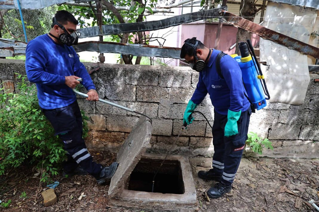 Antalya Büyükşehir Belediyesi, vektör kaynaklı haşerelere karşı kapsamlı mücadele sürdürüyor